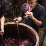 How To Make Wine At Home