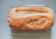 All that You Need to Know About Using Sourdough Starter Kit 