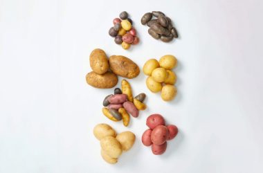 Field To Plate Understanding Potato Nutrition Facts In Detail