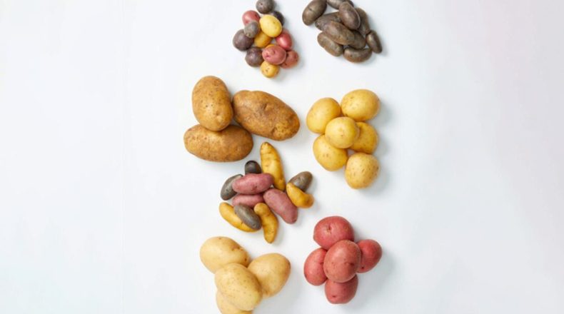 Field To Plate Understanding Potato Nutrition Facts In Detail