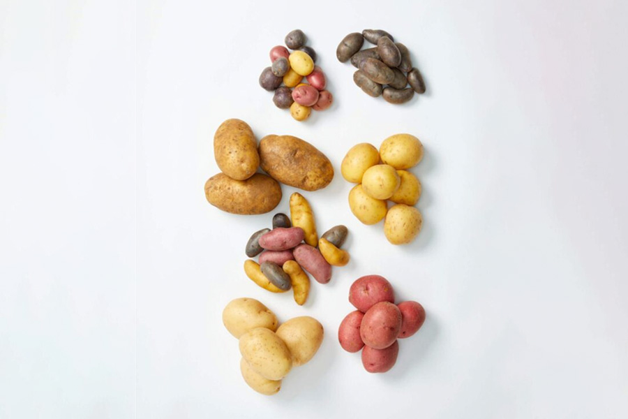 Field To Plate Understanding Potato Nutrition Facts In Detail